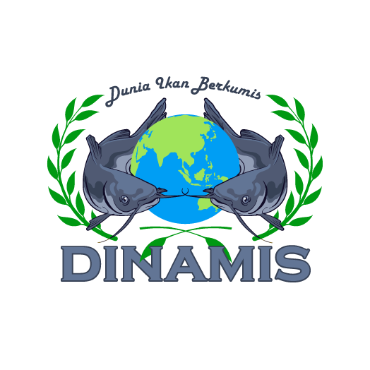 dinamis.png